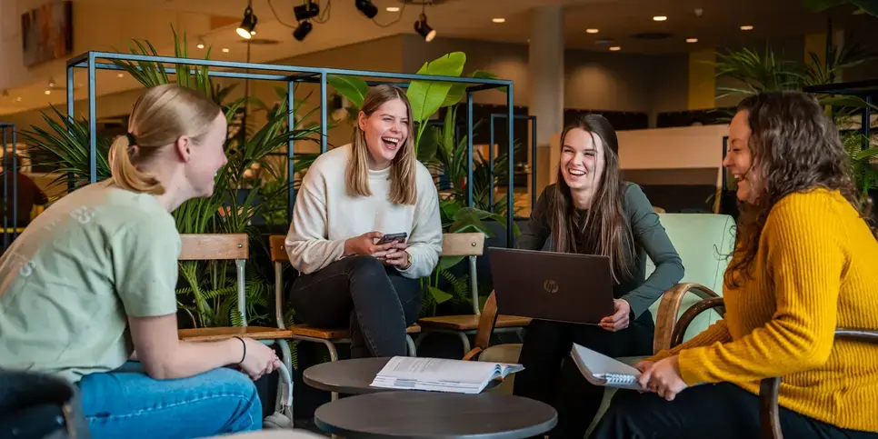 Studenten Business Studies op samenwerkplek