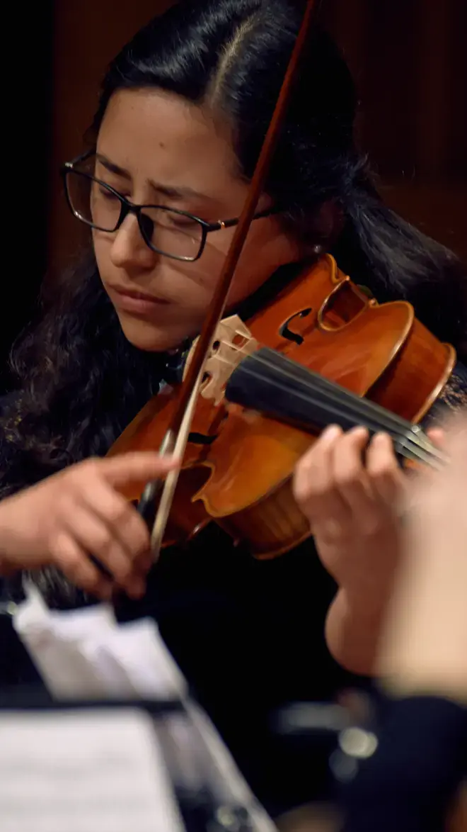 Conservatorium opleiding muziek violist Maastricht