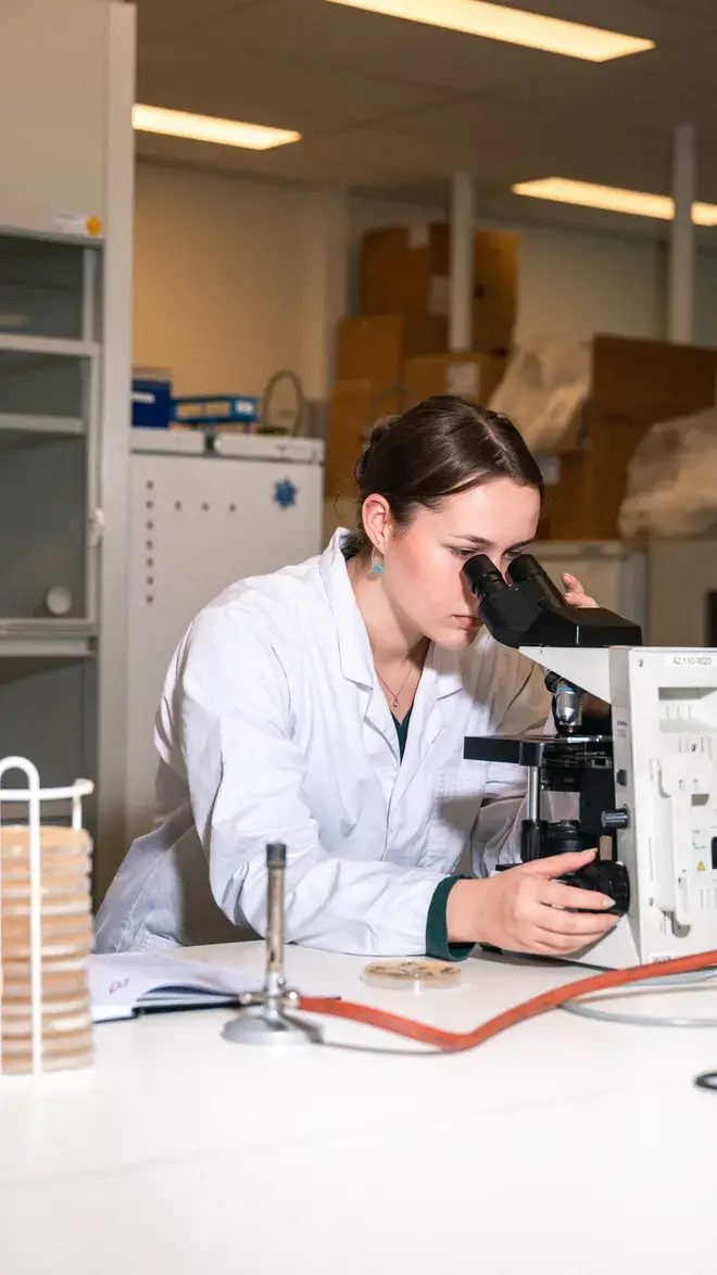 Applied Science - student met microscoop