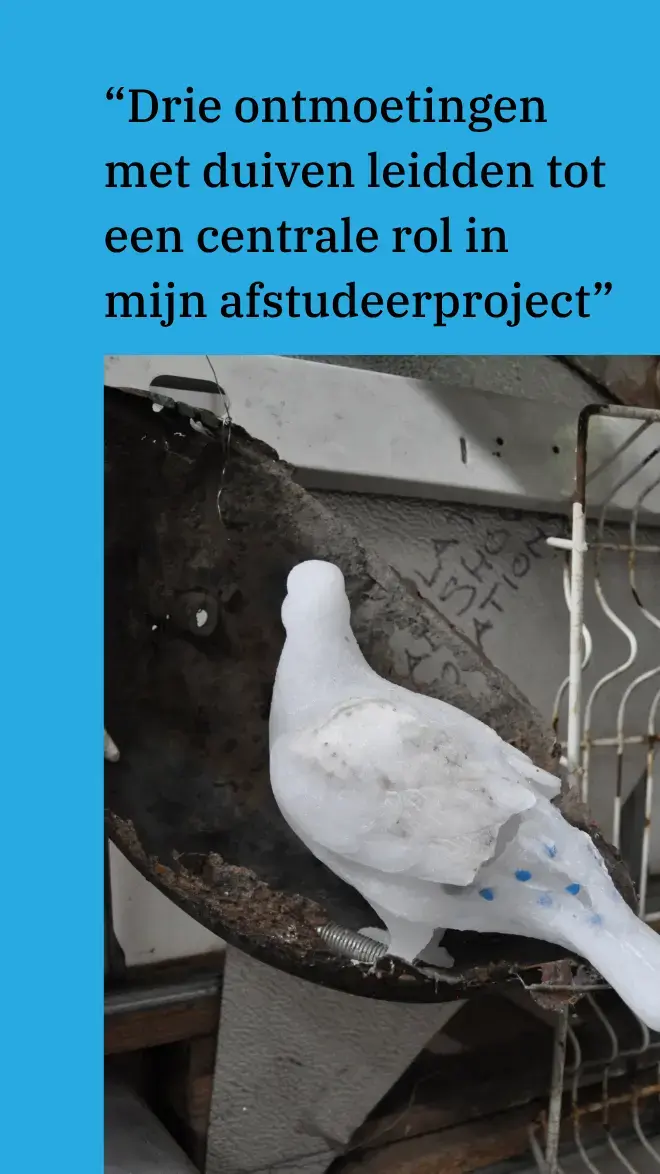 Interdisciplinary arts oud student quote