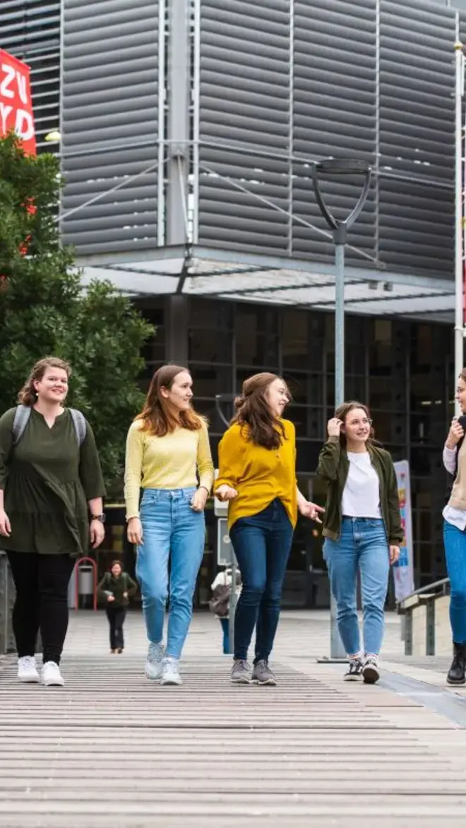 Ergotherapie BSG studenten op brug.jpg
