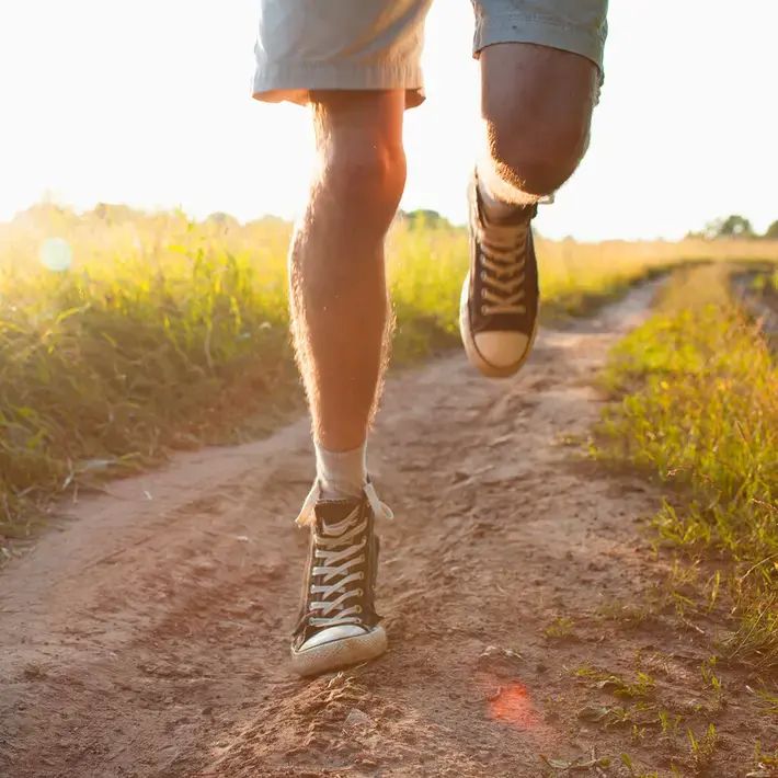 vitale limburgers.jpg