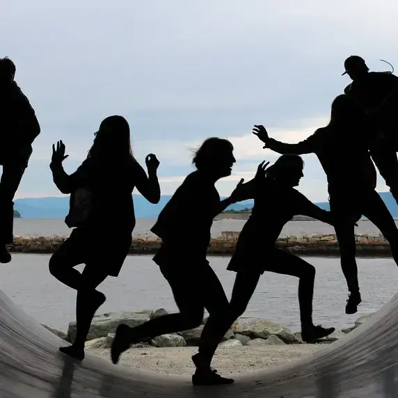 Human Behaviour: Gedrag en Organisatiedynamieken