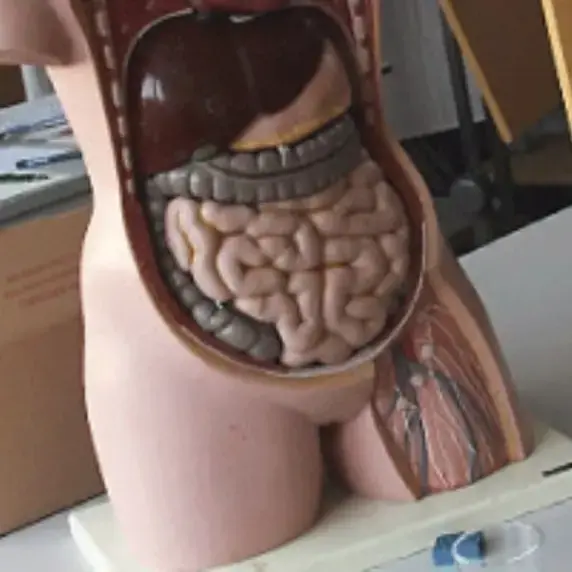 Master Scientific Illustration Professional