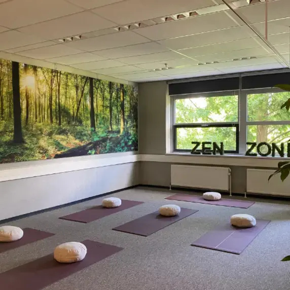 Zen Zone I 750x500.png