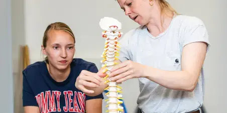 Fysiotherapie - studenten met wervelkolom model