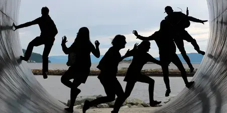 Human Behaviour: Gedrag en Organisatiedynamieken