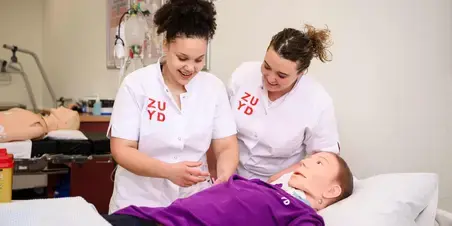 Verpleegkunde Professional