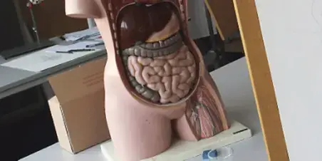 Master Scientific Illustration Professional