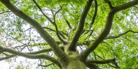 Masterclass Personal Leadership Professional