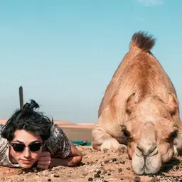 Professional Human Behaviour