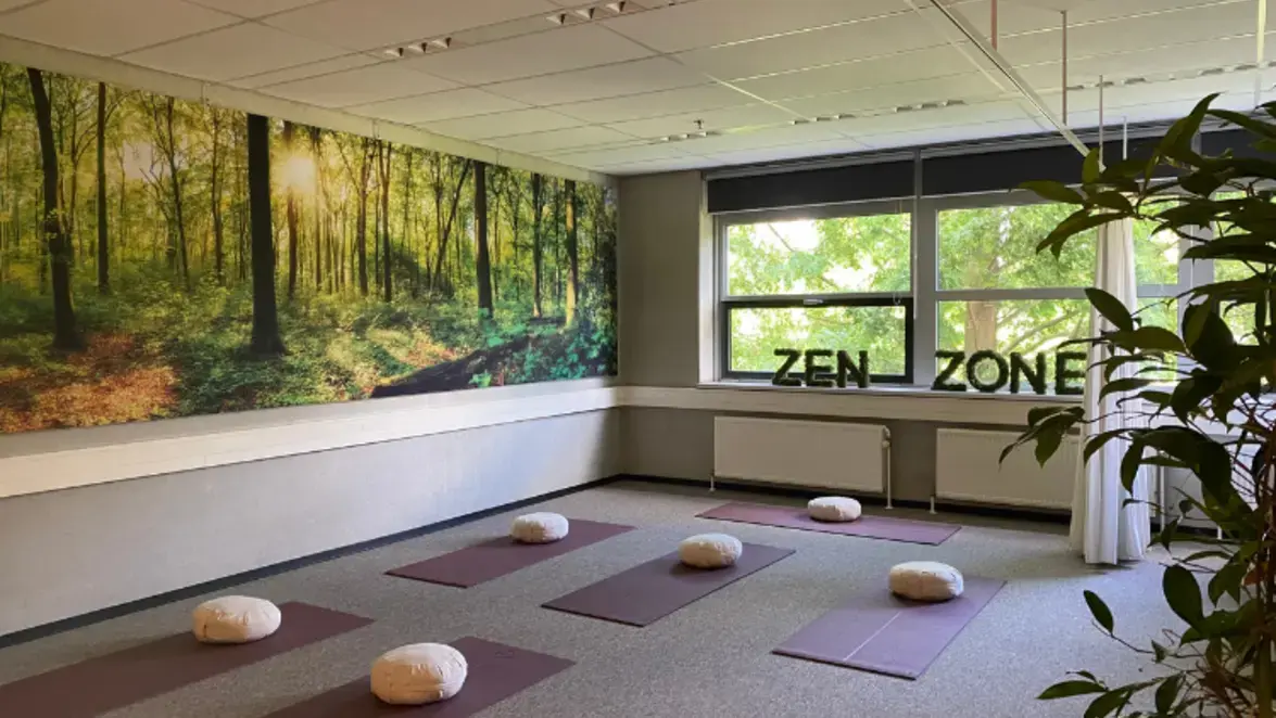 Zen Zone I 750x500.png